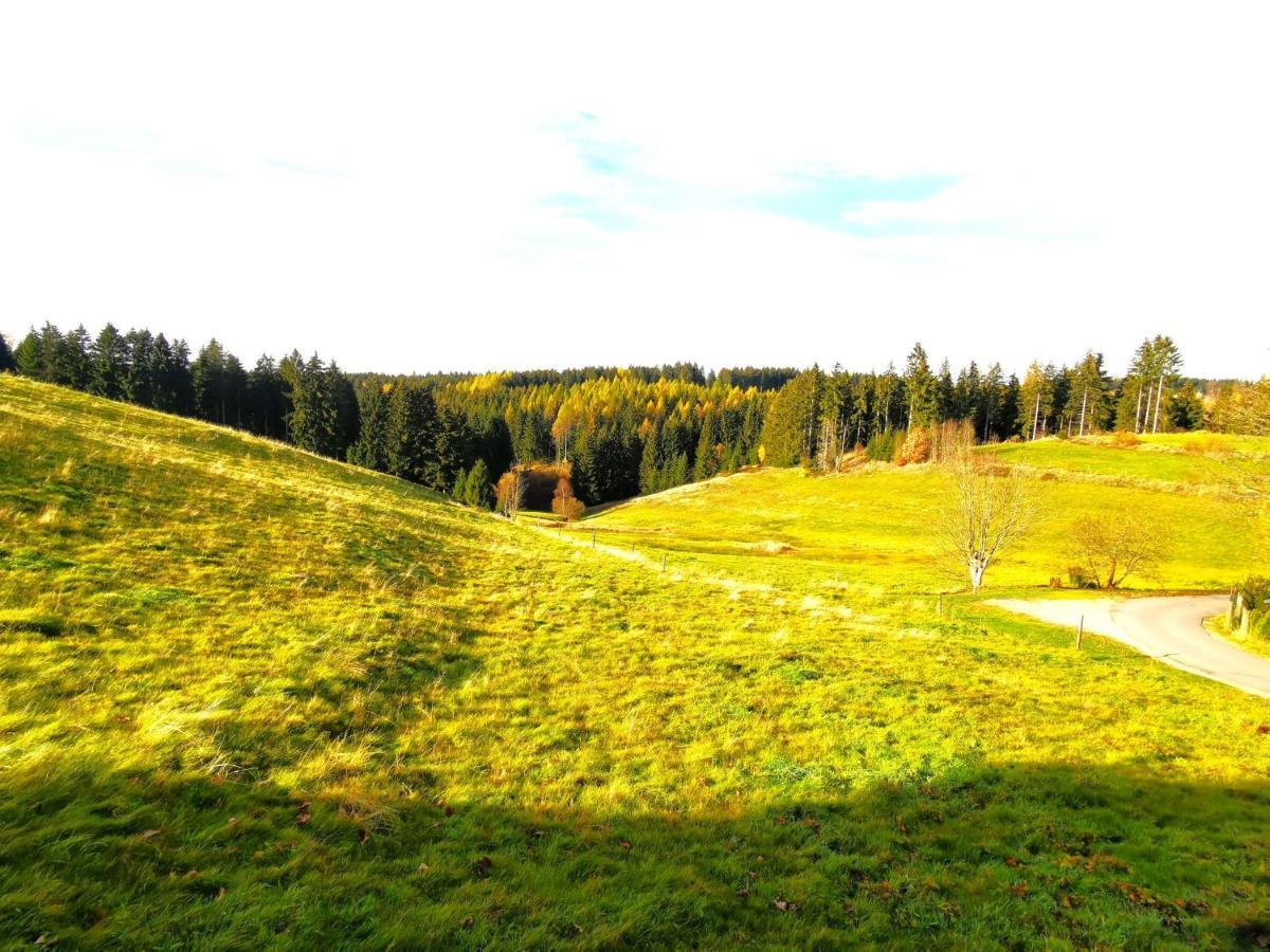 Ferienwohnung Am Bergmannsbrunnen Schoenheide Luaran gambar