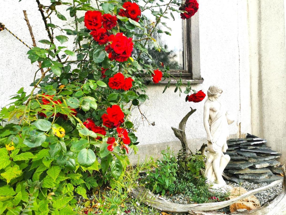 Ferienwohnung Am Bergmannsbrunnen Schoenheide Luaran gambar