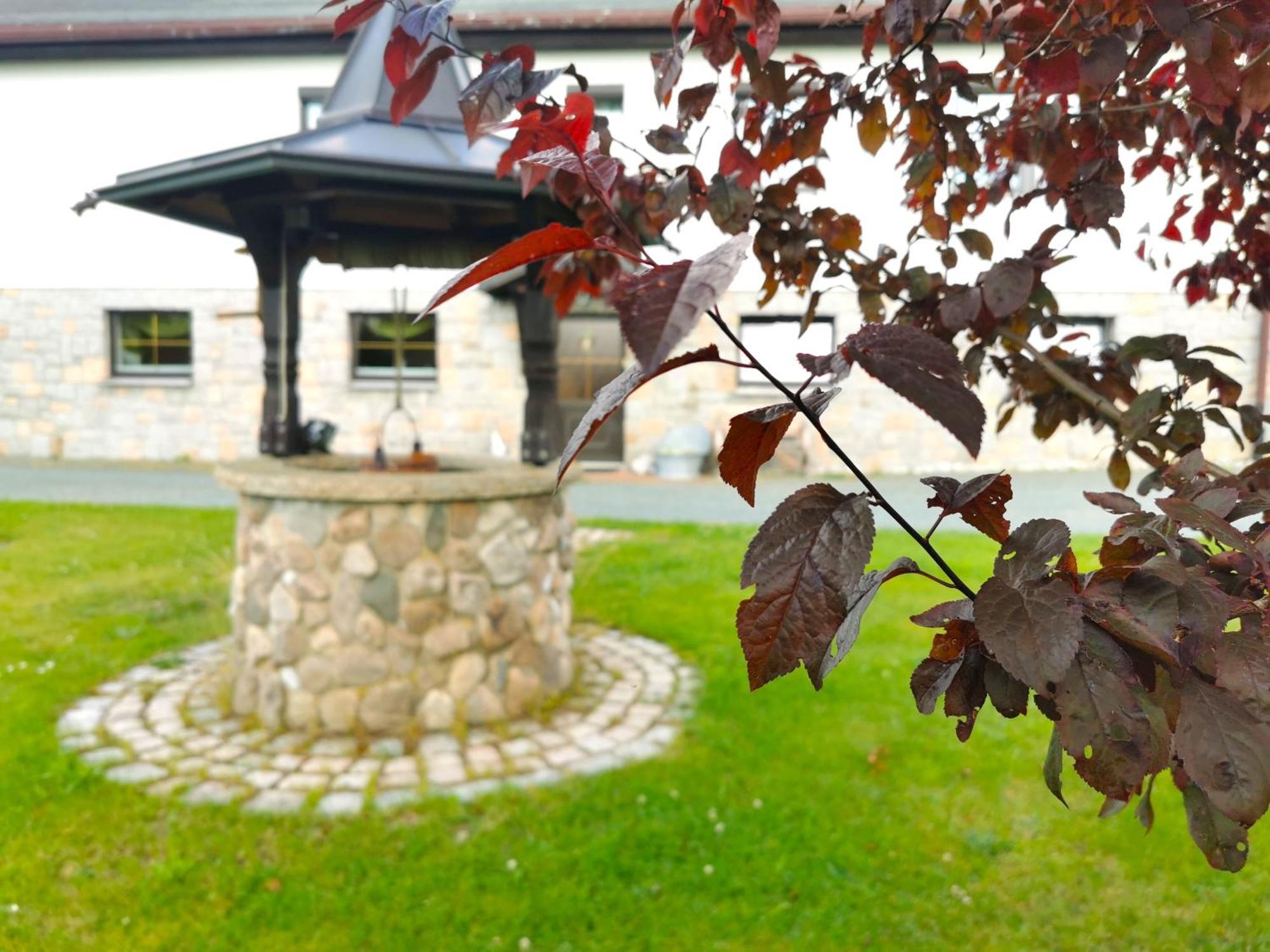 Ferienwohnung Am Bergmannsbrunnen Schoenheide Luaran gambar